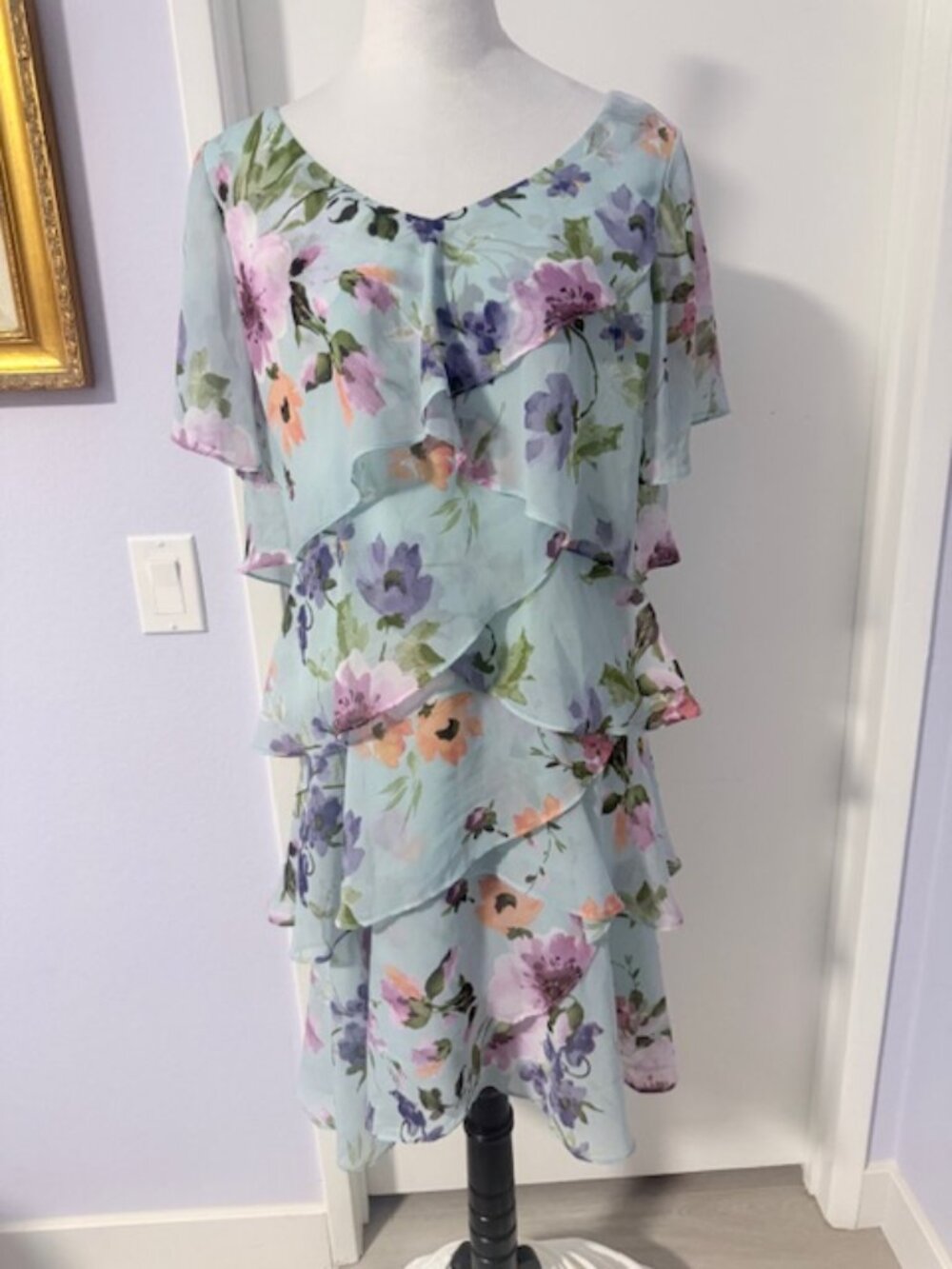 SL Fashions women's knee length printed chiffon dress